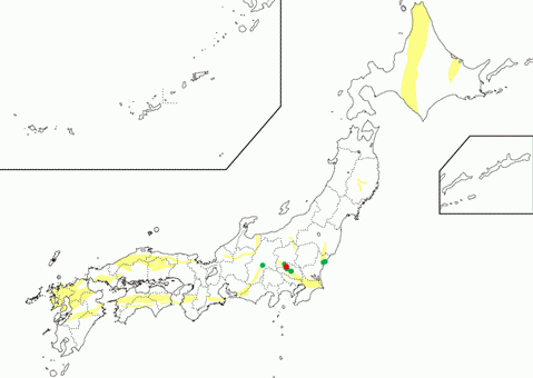 Besshi Massive Sulfide Deposit