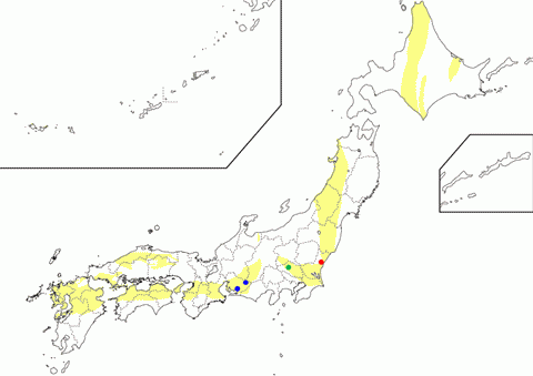 Amphibolite facies