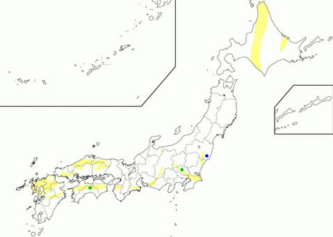 Epidote-Amphibolite facies