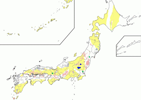 角閃石ホルンフェルス相