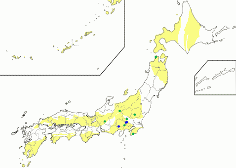 高温沸石相