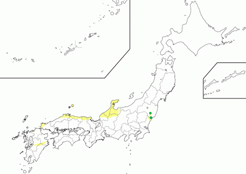 Abyssal Pegmatite