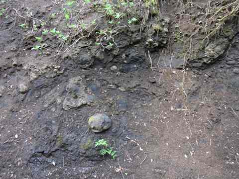 Fuji Mine