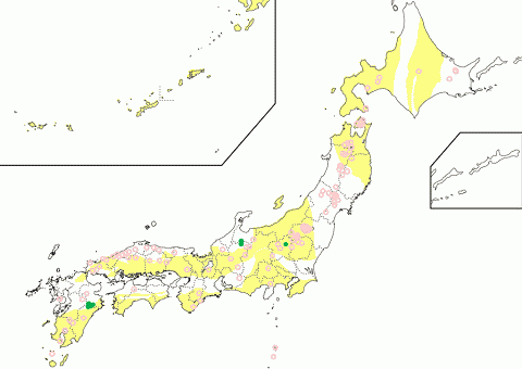 Pneumatolytic Skarn Deposit