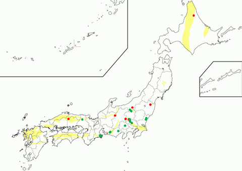 蛇紋石化