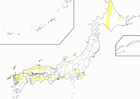 Meteoric oxidation zone of Serpentinite