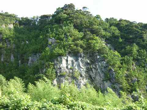 清水