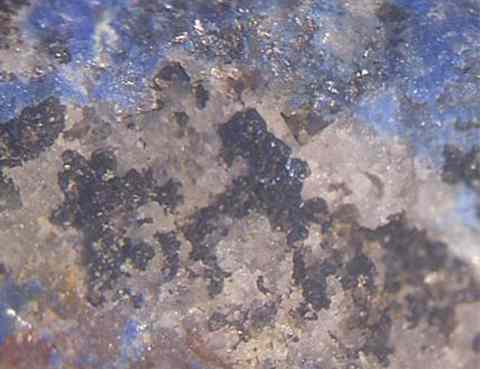 Bornite