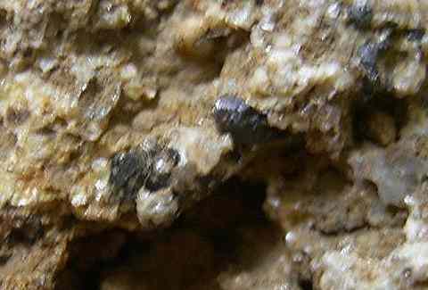 Cassiterite