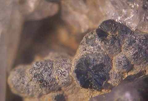 Chamosite