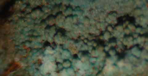 Chrysocolla