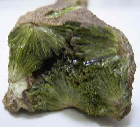 Epidote