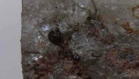 Forsterite