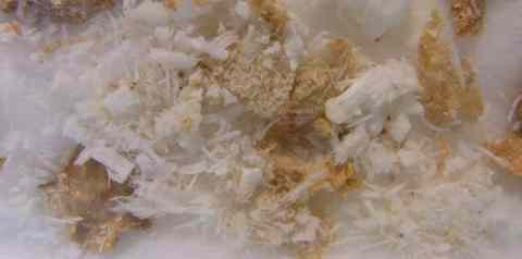 Gypsum