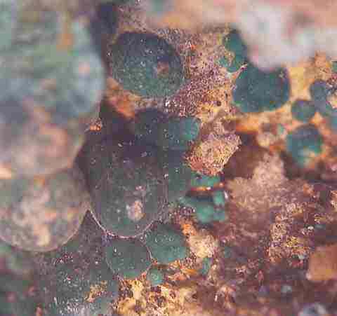 Malachite