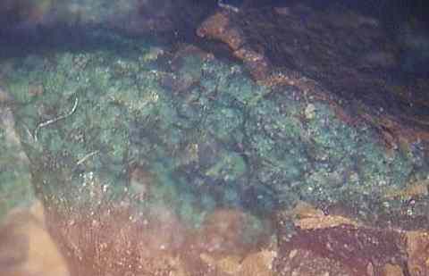 Manganosite