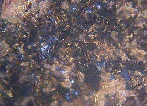 Phlogopite