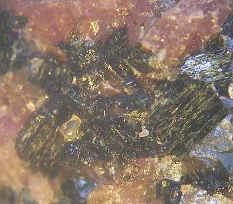 Richterite