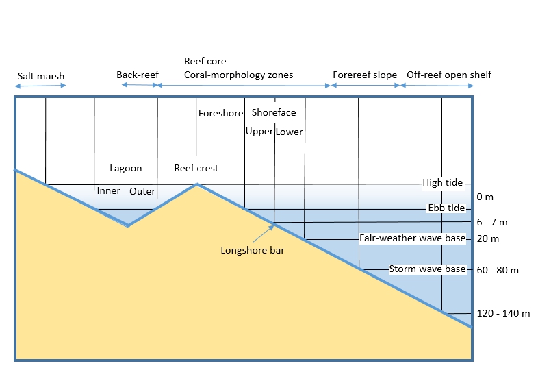 Organic reef