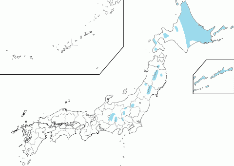 亜寒帯