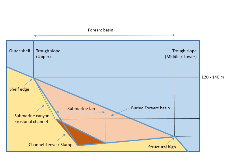 Submarine fan (Forearc basin)