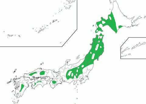 冷温帯