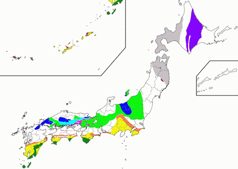 Accretionary Complexes