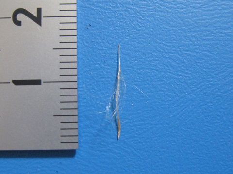 �e�B�����W�A �����A�Z�A