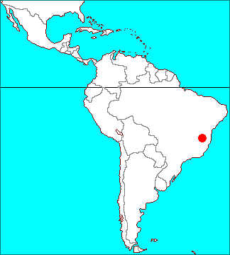 ティランジア ロンギスカパ
