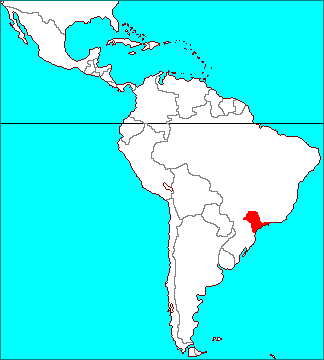 ティランジア テヌイフォリア 変種 サキシコラ